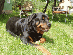 P7220567f.gif