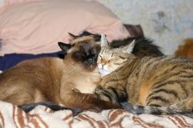 _MG_4760_resize.jpg
