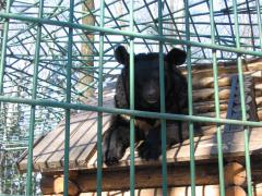 IMG_0974.JPG