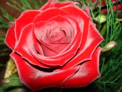 DSC00397.JPG