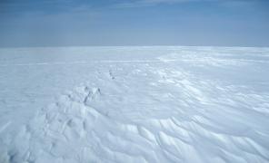 IMG_1259.jpg
