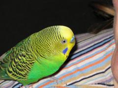 IMG_0026.JPG