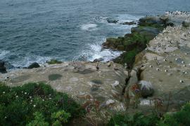 DSCF0017.JPG