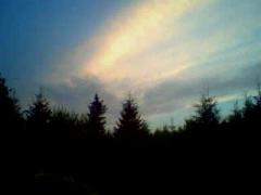 SP_A0540.jpg
