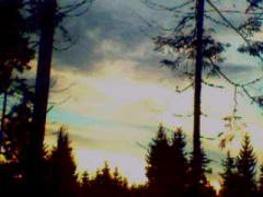 SP_A0541.jpg