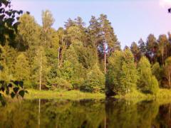Картинка_132_.jpg