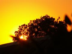 PICT1353.JPG