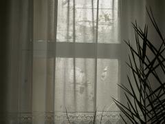 PICT1790.JPG