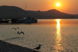DSC_0146.jpg