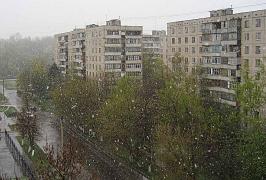 IMG_0_3_61.jpg