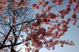 e15f5514d009cc430be53c84331fee74_full.jpg