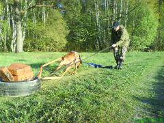 DSC00186.JPG