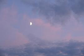 DSC00395_.jpg