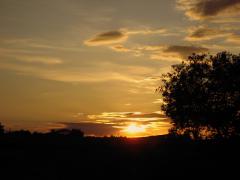IMG_0583.jpg