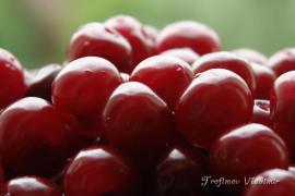 DSC00590_.jpg