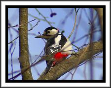 DSC00818.jpg