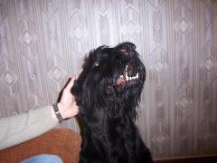 100_0183.JPG