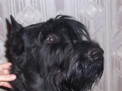 100_0184.JPG