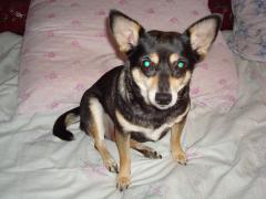 DSC00036.JPG