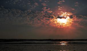 IMG_0789.jpg