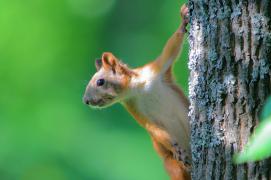 IMG_9285_1_resize.jpg