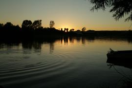 IMG_0284.jpg