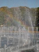 DSC01494.JPG