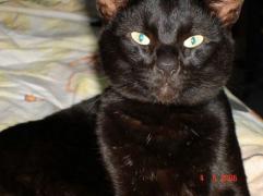 DSC00234.JPG