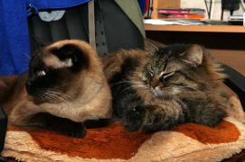 IMG_1957_resize.jpg