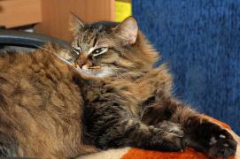 IMG_1964_resize.jpg