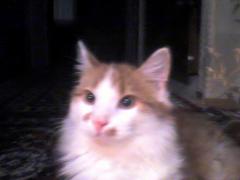 DSC00059_NR.jpg
