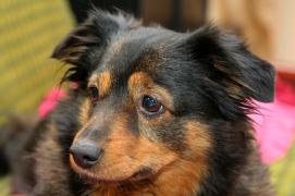 IMG_2098_resize.jpg
