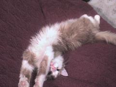 DSC00088.JPG