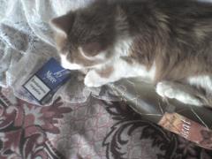 DSC00113.JPG