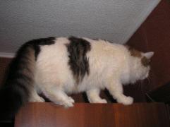 PB060032.JPG