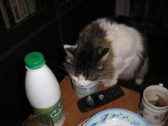 PB090038.JPG