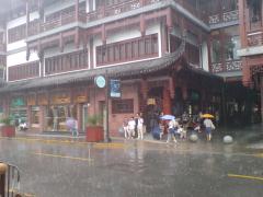 DSC00250.JPG