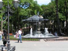 PICT0115_измен.размер.JPG