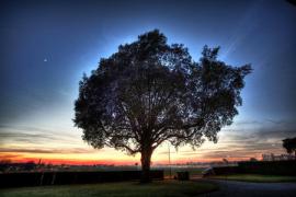 hdr_17.jpg