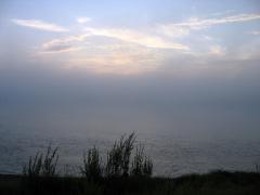IMG_4526.jpg
