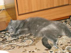 IMG_4174.jpg