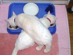 img_3618846_381_0.jpg
