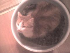 DSC00214.JPG