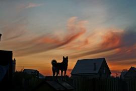 IMG_1189.jpg