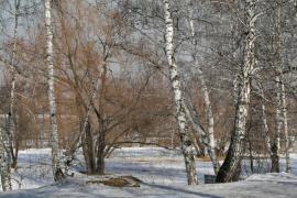 IMG_4030.jpg