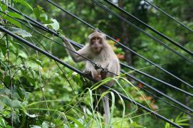 IMG_1338.JPG