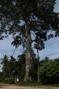 IMG_1830.JPG