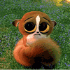 268288955722.gif