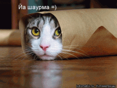 x_5cc3c2f0.gif