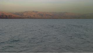 IMG_2069.jpg